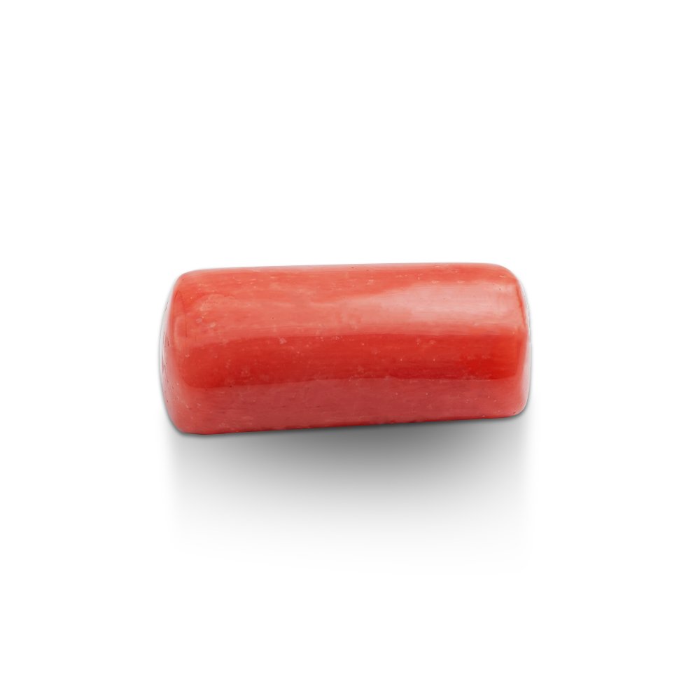 2.jpg Red Coral मूंगा 15.11 CT - Image 1
