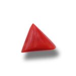 Red Coral मूंगा 7.05 CT - Image 2
