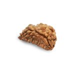1 Mukhi Rudraksha Bead रूद्राक्ष Nepal - Image 3