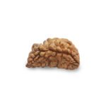 1 Mukhi Rudraksha Bead रूद्राक्ष Nepal